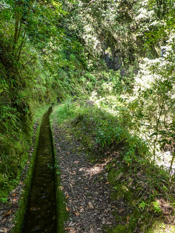 12 May 2019 Madeira forum walk and exploring the Levada dos Louros — On the Levada dos Tornos — photo 11