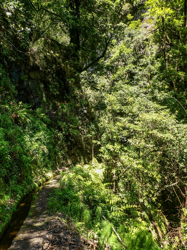 12 May 2019 Madeira forum walk and exploring the Levada dos Louros — On the Levada dos Tornos — photo 12