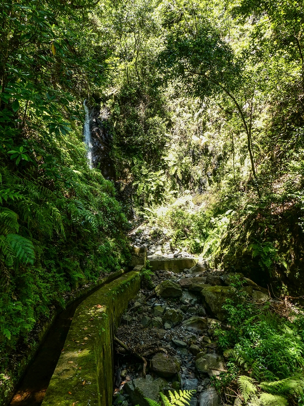 12 May 2019 Madeira forum walk and exploring the Levada dos Louros — On the Levada dos Tornos — photo 13