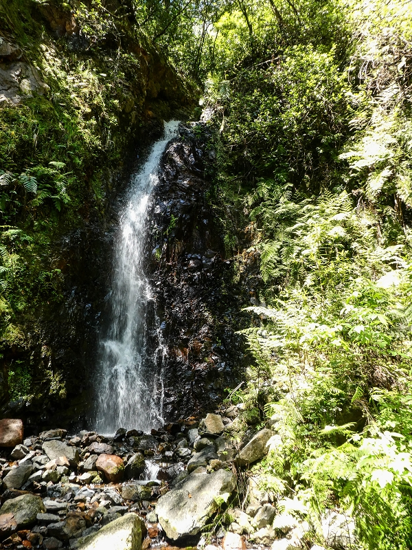 12 May 2019 Madeira forum walk and exploring the Levada dos Louros — On the Levada dos Tornos — photo 14