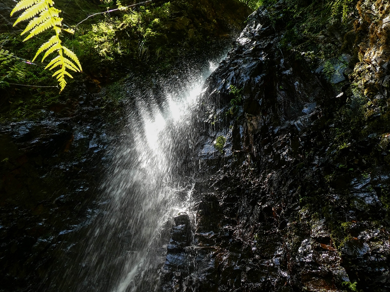 12 May 2019 Madeira forum walk and exploring the Levada dos Louros — On the Levada dos Tornos — photo 15