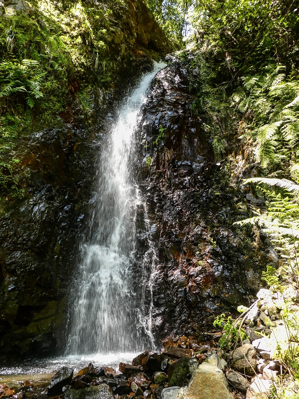 12 May 2019 Madeira forum walk and exploring the Levada dos Louros — On the Levada dos Tornos — photo 16