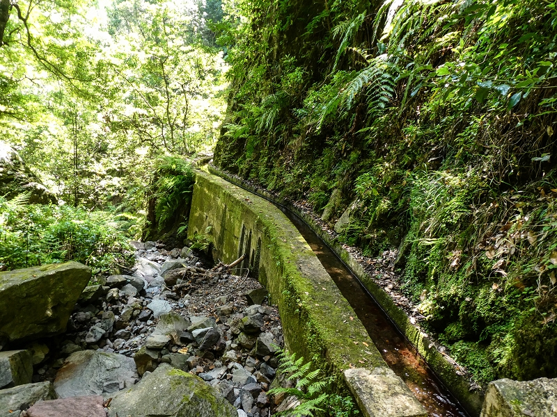 12 May 2019 Madeira forum walk and exploring the Levada dos Louros — On the Levada dos Tornos — photo 17