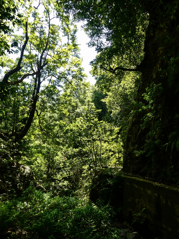 12 May 2019 Madeira forum walk and exploring the Levada dos Louros — On the Levada dos Tornos — photo 18