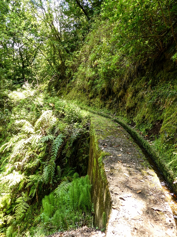 12 May 2019 Madeira forum walk and exploring the Levada dos Louros — On the Levada dos Tornos — photo 19