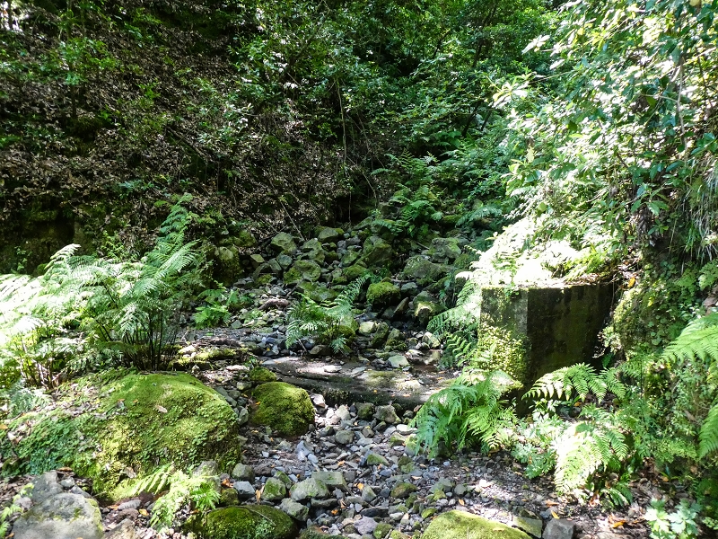 12 May 2019 Madeira forum walk and exploring the Levada dos Louros — On the Levada dos Tornos — photo 24