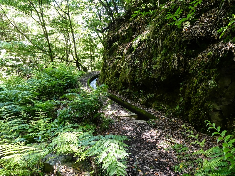 12 May 2019 Madeira forum walk and exploring the Levada dos Louros — On the Levada dos Tornos — photo 25