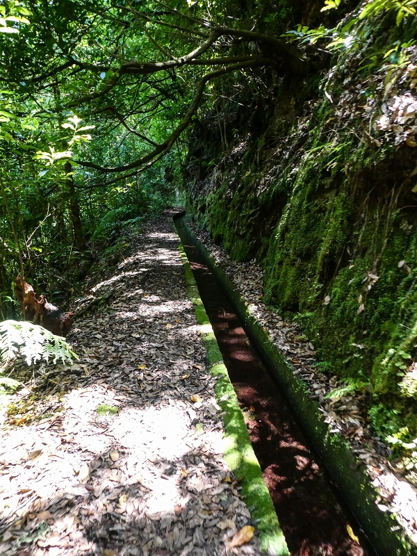 12 May 2019 Madeira forum walk and exploring the Levada dos Louros — On the Levada dos Tornos — photo 26