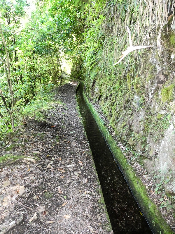 12 May 2019 Madeira forum walk and exploring the Levada dos Louros — On the Levada dos Tornos — photo 27