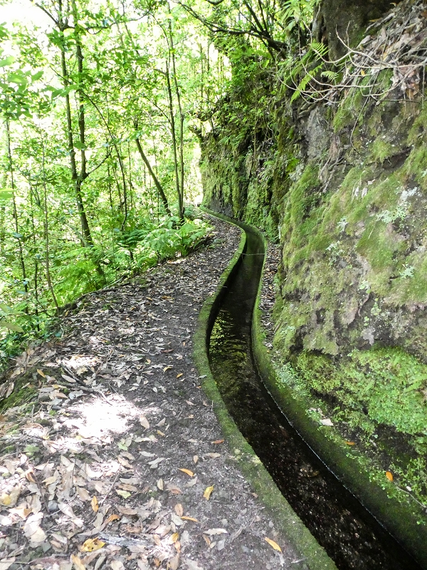12 May 2019 Madeira forum walk and exploring the Levada dos Louros — On the Levada dos Tornos — photo 30