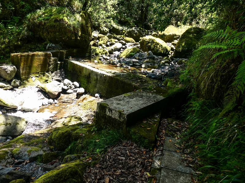 12 May 2019 Madeira forum walk and exploring the Levada dos Louros — On the Levada dos Tornos — photo 31