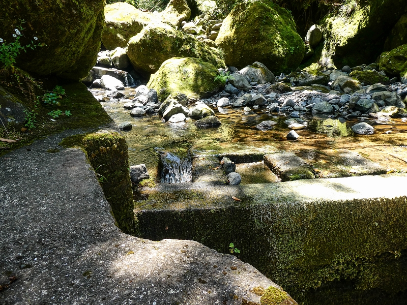 12 May 2019 Madeira forum walk and exploring the Levada dos Louros — On the Levada dos Tornos — photo 32