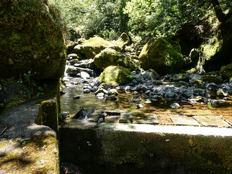 12 May 2019 Madeira forum walk and exploring the Levada dos Louros — On the Levada dos Tornos — photo 33