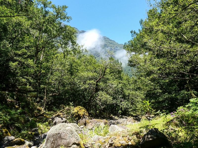 12 May 2019 Madeira forum walk and exploring the Levada dos Louros — On the Levada dos Tornos — photo 34