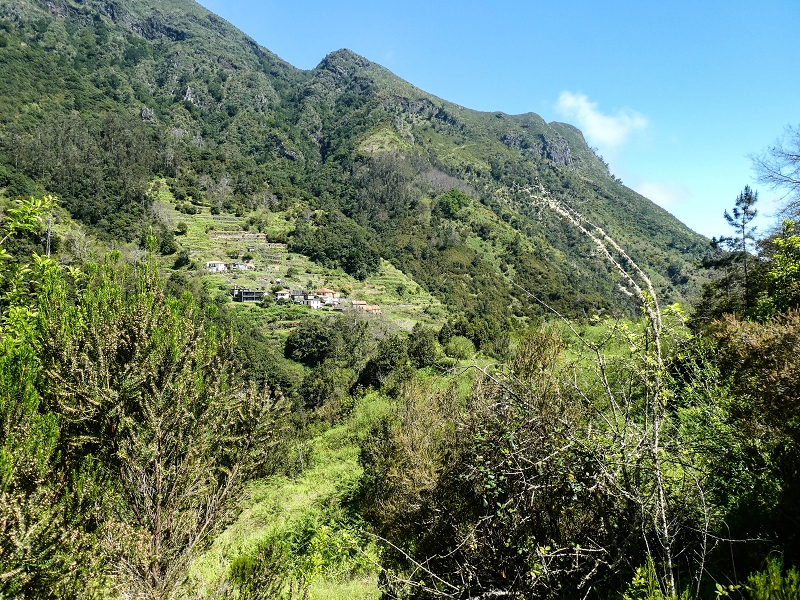 Levada dos Louros — Overgrown section — photo 4