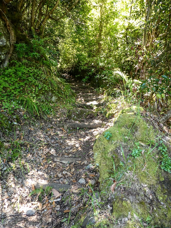 12 May 2019 Madeira forum walk and exploring the Levada dos Louros — Descent, terminal branch of the Levada dos Louros — photo 1