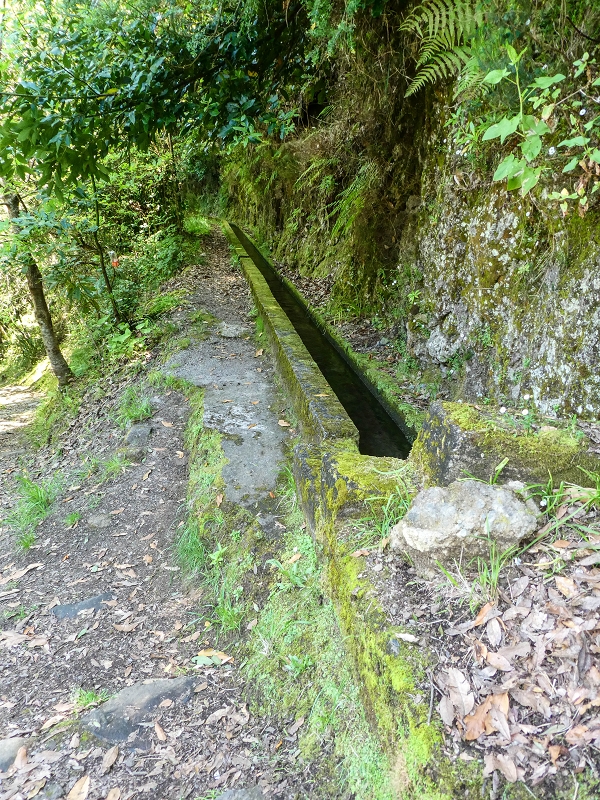 12 May 2019 Madeira forum walk and exploring the Levada dos Louros — Descent, terminal branch of the Levada dos Louros — photo 2