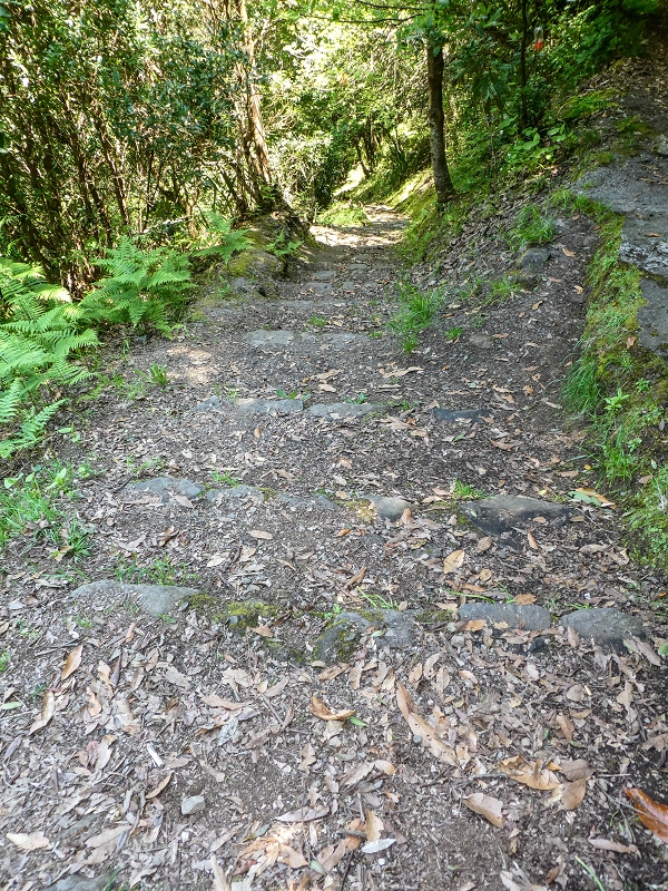 12 May 2019 Madeira forum walk and exploring the Levada dos Louros — Descent, terminal branch of the Levada dos Louros — photo 3