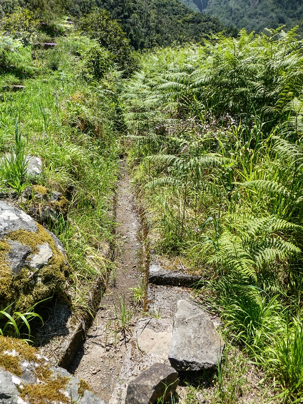 Levada dos Louros — Final section before the path junction, occasional inflow of water — photo 2