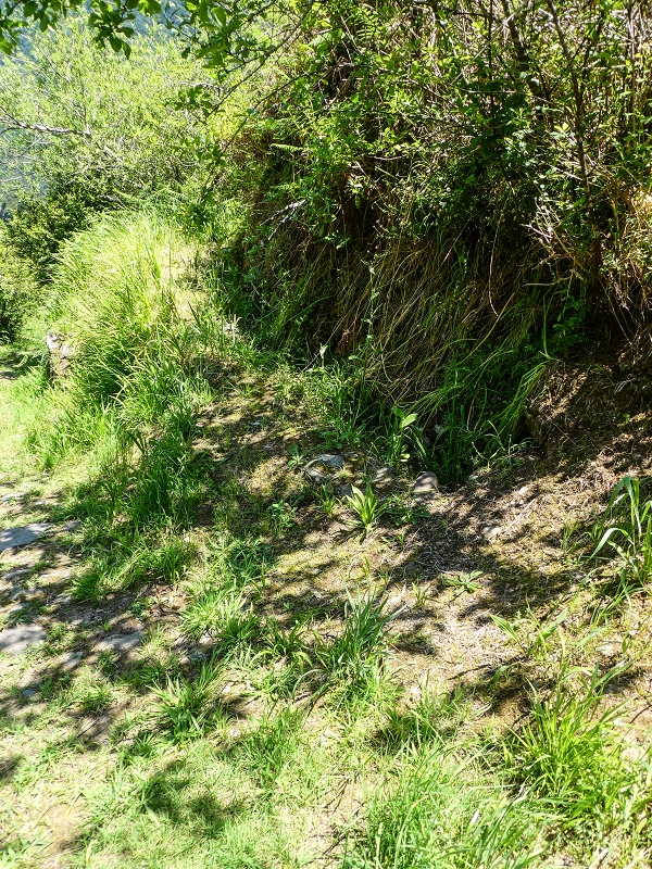 Levada dos Louros — Final section after the path junction — photo 1
