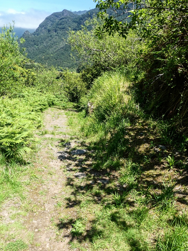 Levada dos Louros — Final section after the path junction — photo 2