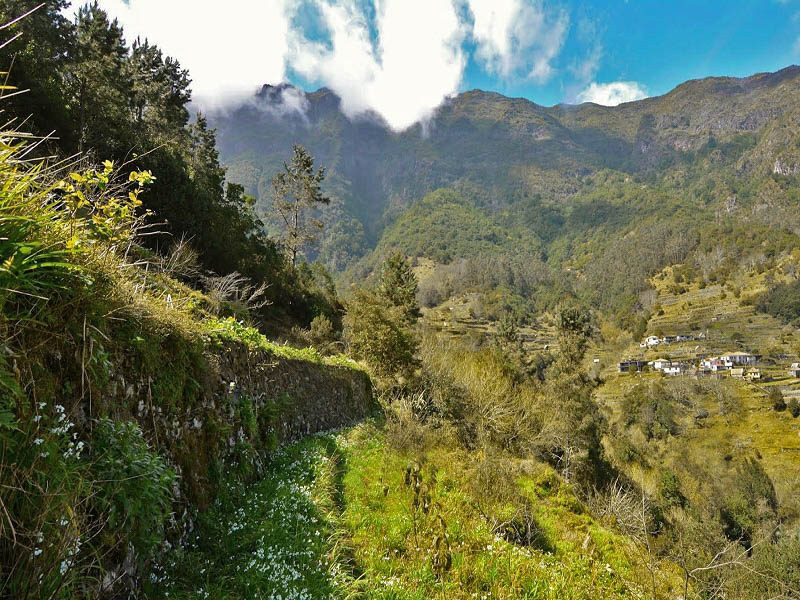 Levada dos Louros — Final section after the path junction — photo 4