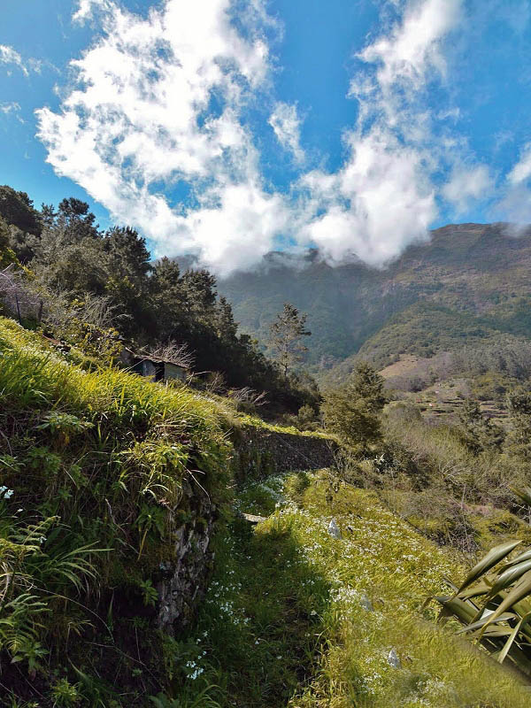 Levada dos Louros — Final section after the path junction — photo 5