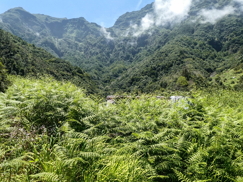 12 May 2019 Madeira forum walk and exploring the Levada dos Louros — Back to Lombo do Urzal — photo 1
