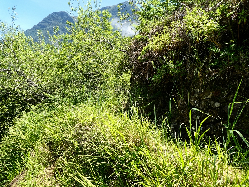 12 May 2019 Madeira forum walk and exploring the Levada dos Louros — Back to Lombo do Urzal — photo 2