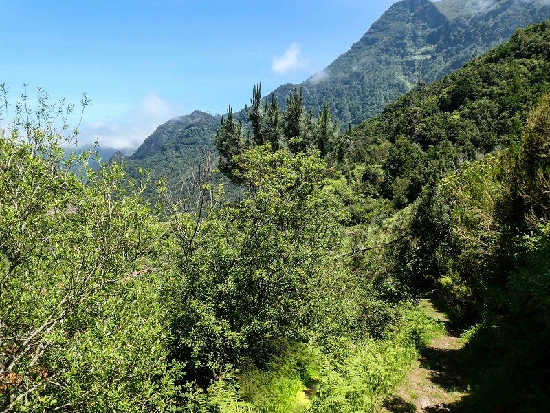 12 May 2019 Madeira forum walk and exploring the Levada dos Louros — Back to Lombo do Urzal — photo 3