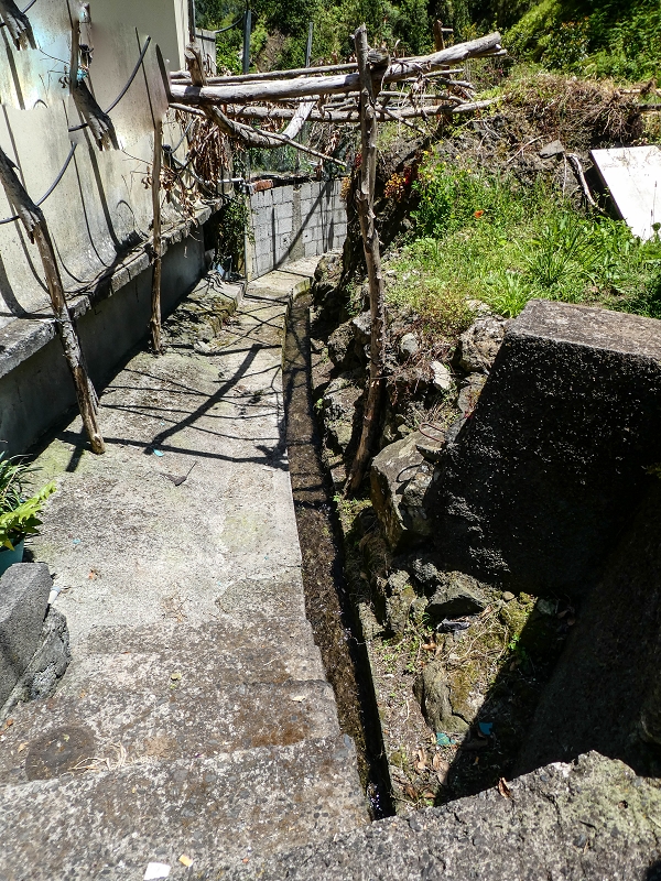 12 May 2019 Madeira forum walk and exploring the Levada dos Louros — Back to Lombo do Urzal — photo 6