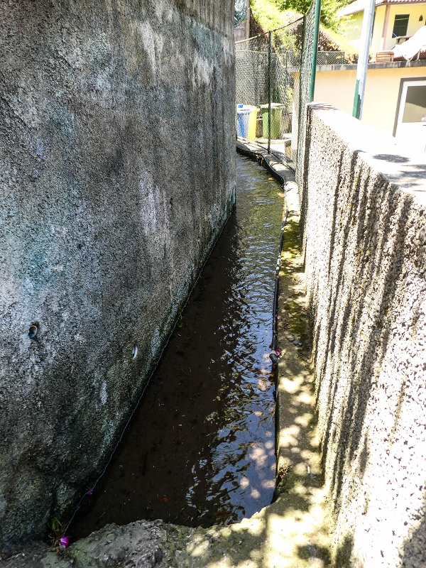 12 May 2019 Madeira forum walk and exploring the Levada dos Louros — Back to Lombo do Urzal — photo 7