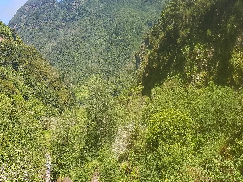 12 May 2019 Madeira forum walk and exploring the Levada dos Louros — Back to Lombo do Urzal — photo 10