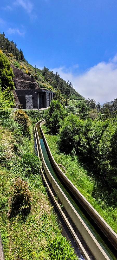 Levada Nova — Madre area from 2022 — photo 2