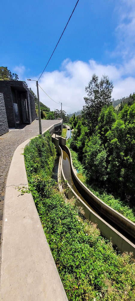 Levada Nova — Madre area from 2022 — photo 1