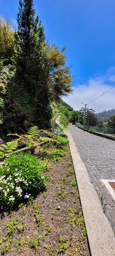 Levada Nova — As far as Lombo Atougaia — photo 1