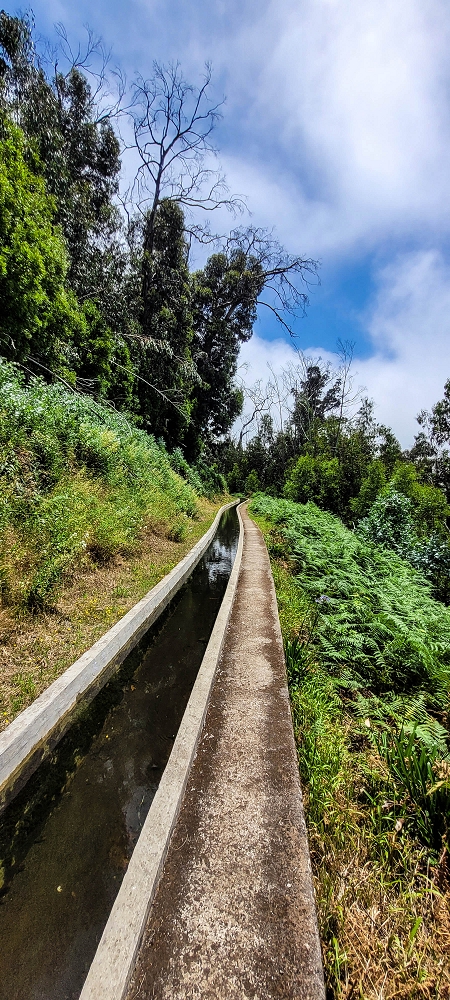 Levada Nova — As far as Lombo Atougaia — photo 2