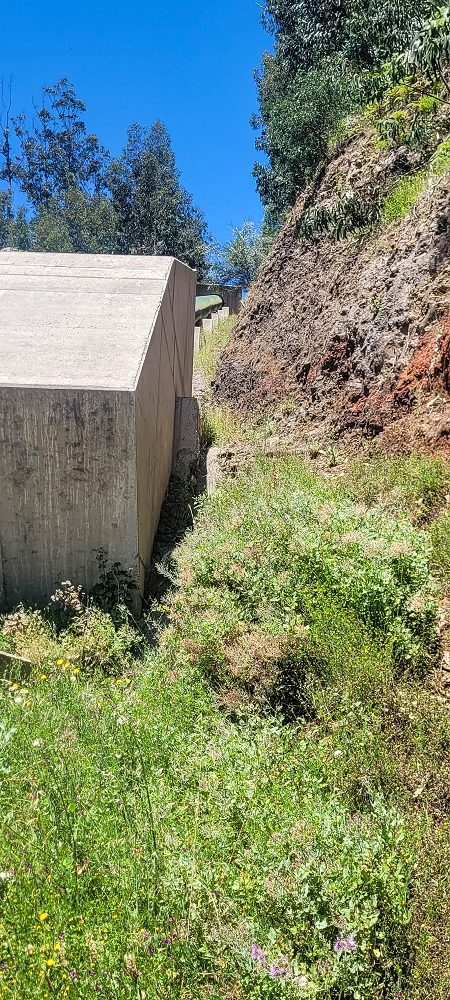 12.06.2022 Calheta Hydro Power - früher und heute — Zum Endbecken der Levada da Rocha Vermelha — Foto 2
