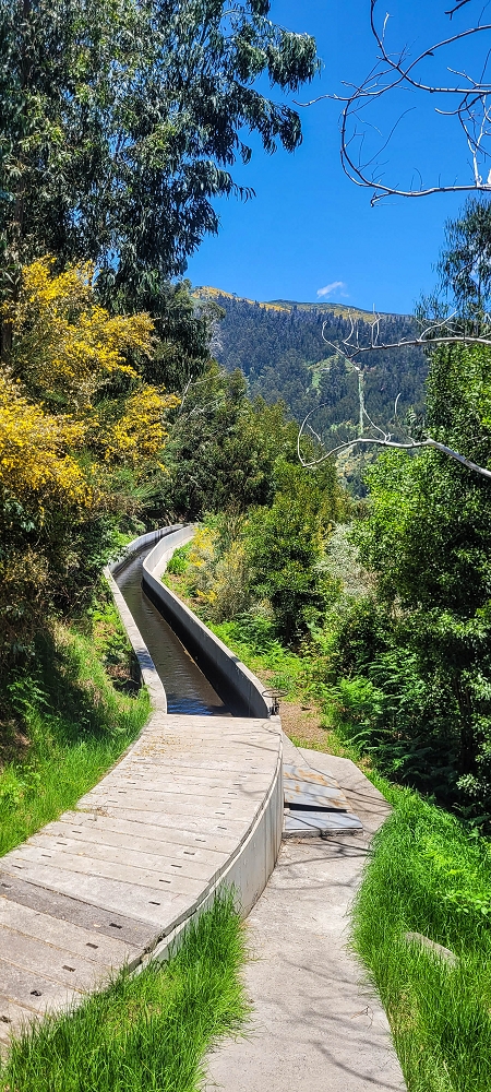 12.06.2022 Calheta Hydro Power - früher und heute — Entlang der Levada Nova bis zum neuen Staubecken — Foto 3