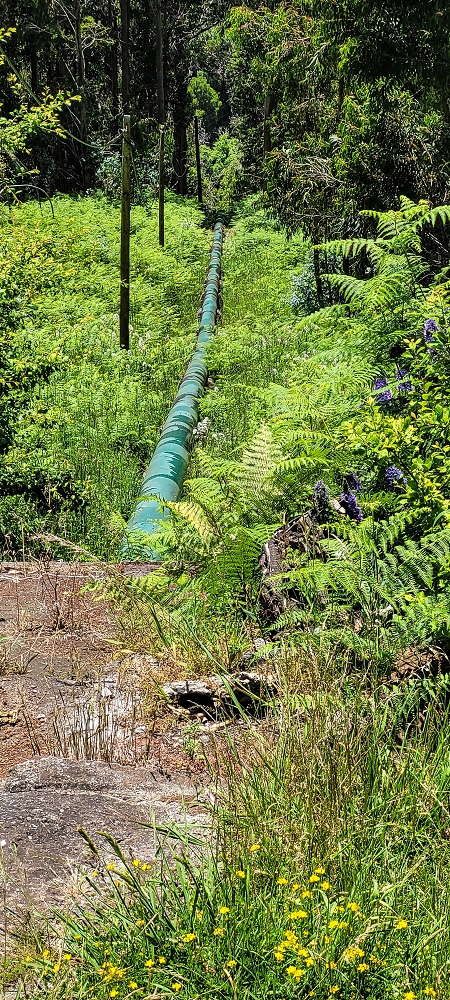 12.06.2022 Calheta Hydro Power - früher und heute — Zum Endbecken der Levada da Rocha Vermelha — Foto 5