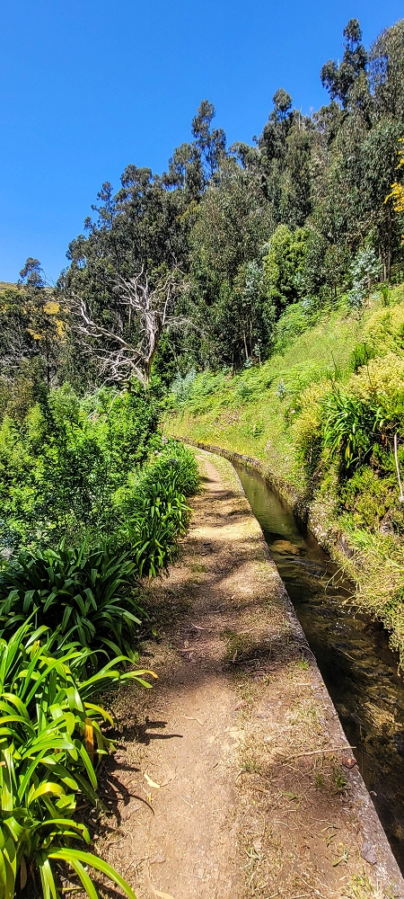 12.06.2022 Calheta Hydro Power - früher und heute — Auf der Levada da Rocha Vermelha bis zum Tunnel — Foto 4
