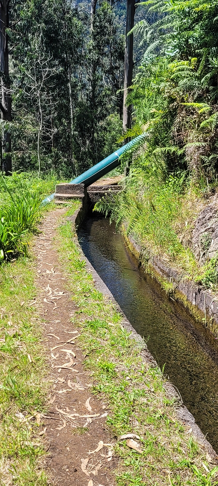 12.06.2022 Calheta Hydro Power - früher und heute — Auf der Levada da Rocha Vermelha bis zum Tunnel — Foto 5