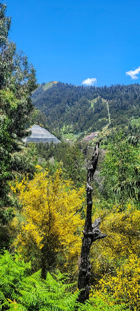 12.06.2022 Calheta Hydro Power - früher und heute — Entlang der Levada Nova bis zum neuen Staubecken — Foto 4