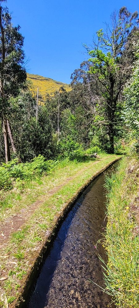 12.06.2022 Calheta Hydro Power - früher und heute — Auf der Levada da Rocha Vermelha bis zum Tunnel — Foto 8