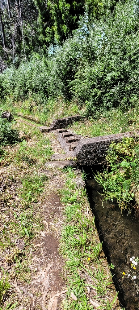 12.06.2022 Calheta Hydro Power - früher und heute — Auf der Levada da Rocha Vermelha bis zum Tunnel — Foto 9