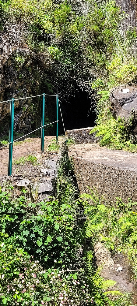 12.06.2022 Calheta Hydro Power - früher und heute — Auf der Levada da Rocha Vermelha bis zum Tunnel — Foto 13