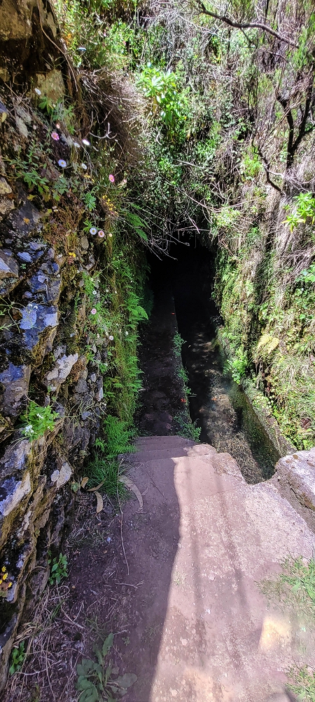 12.06.2022 Calheta Hydro Power - früher und heute — Auf der Levada da Rocha Vermelha bis zum Tunnel — Foto 14