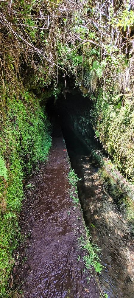 12.06.2022 Calheta Hydro Power - früher und heute — Auf der Levada da Rocha Vermelha bis zum Tunnel — Foto 15