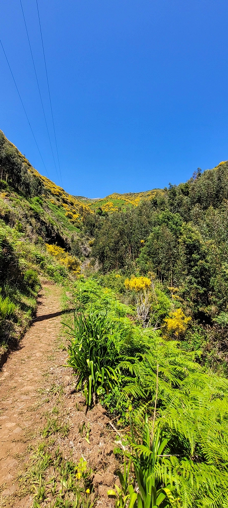 12.06.2022 Calheta Hydro Power - früher und heute — Aufstieg zum Furado Novo — Foto 2