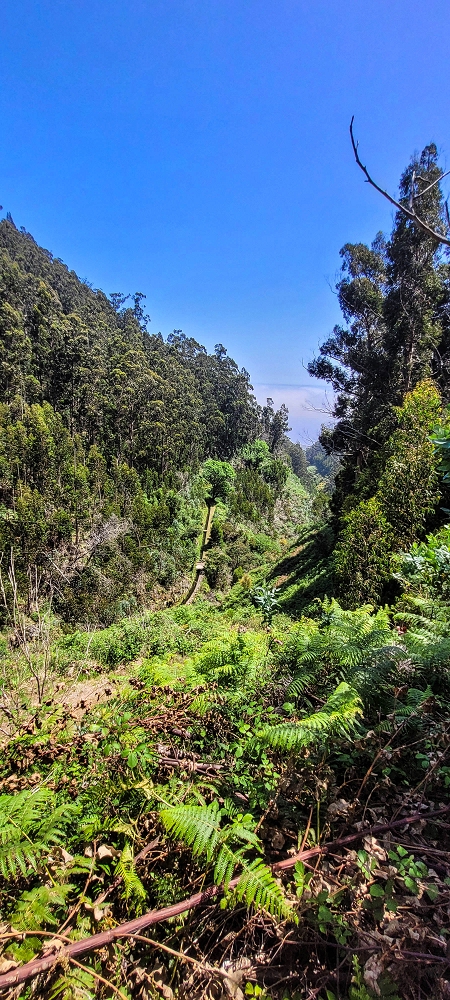 12.06.2022 Calheta Hydro Power - früher und heute — Aufstieg zum Furado Novo — Foto 3